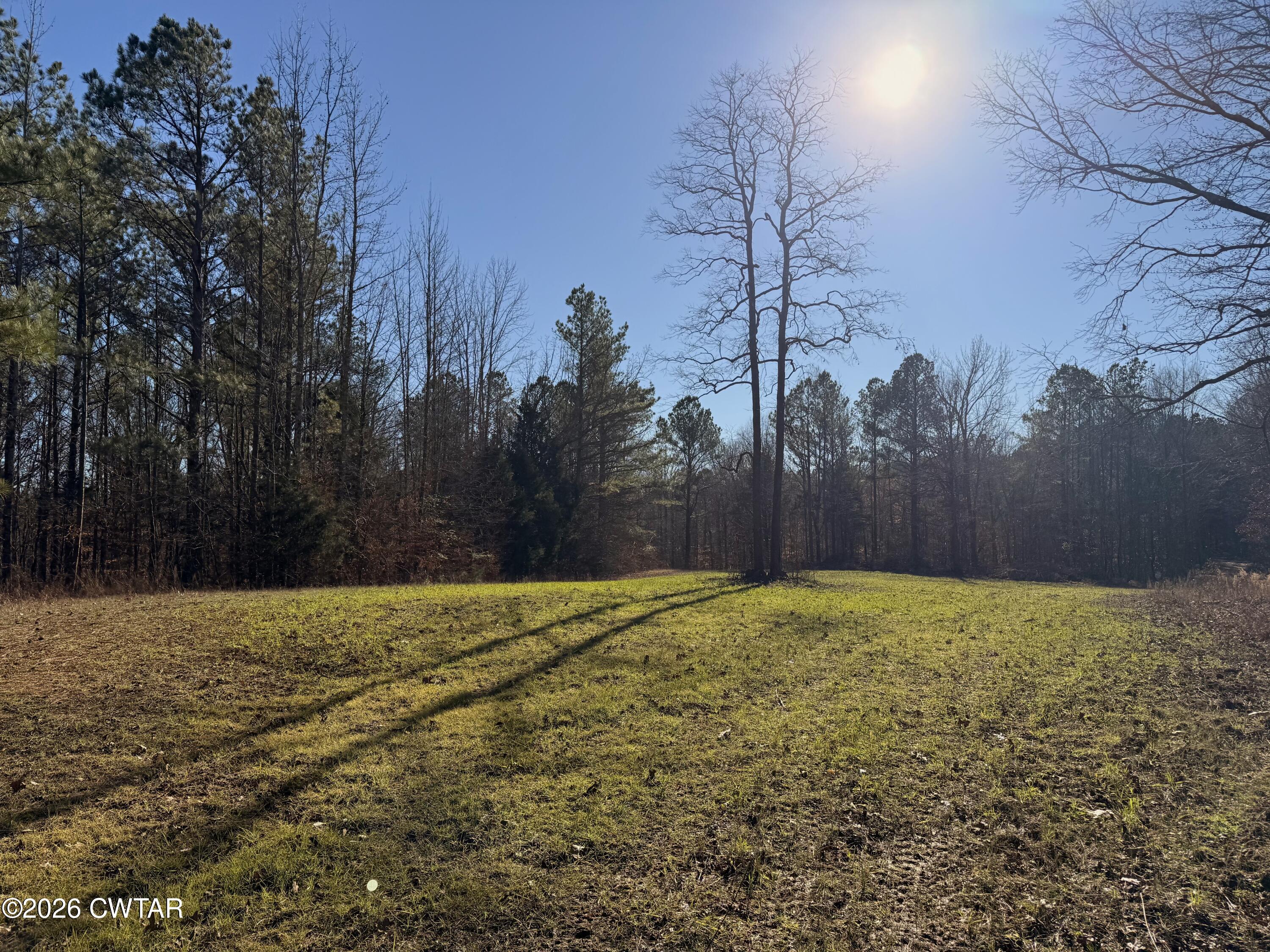 0 Buggy Branch Lane Cedar Grove, TN 38321 - Photo 37 of 42 a view of a field with trees in the background