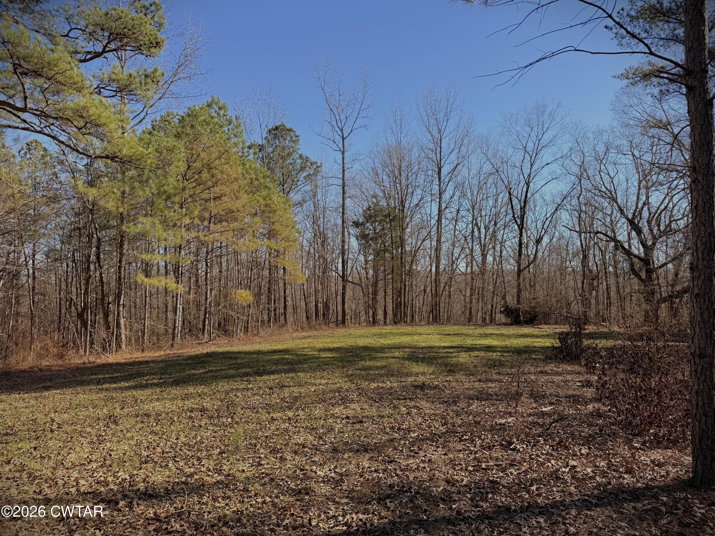 0 Buggy Branch Lane Cedar Grove, TN 38321 - Photo 4 of 42 a big yard with trees