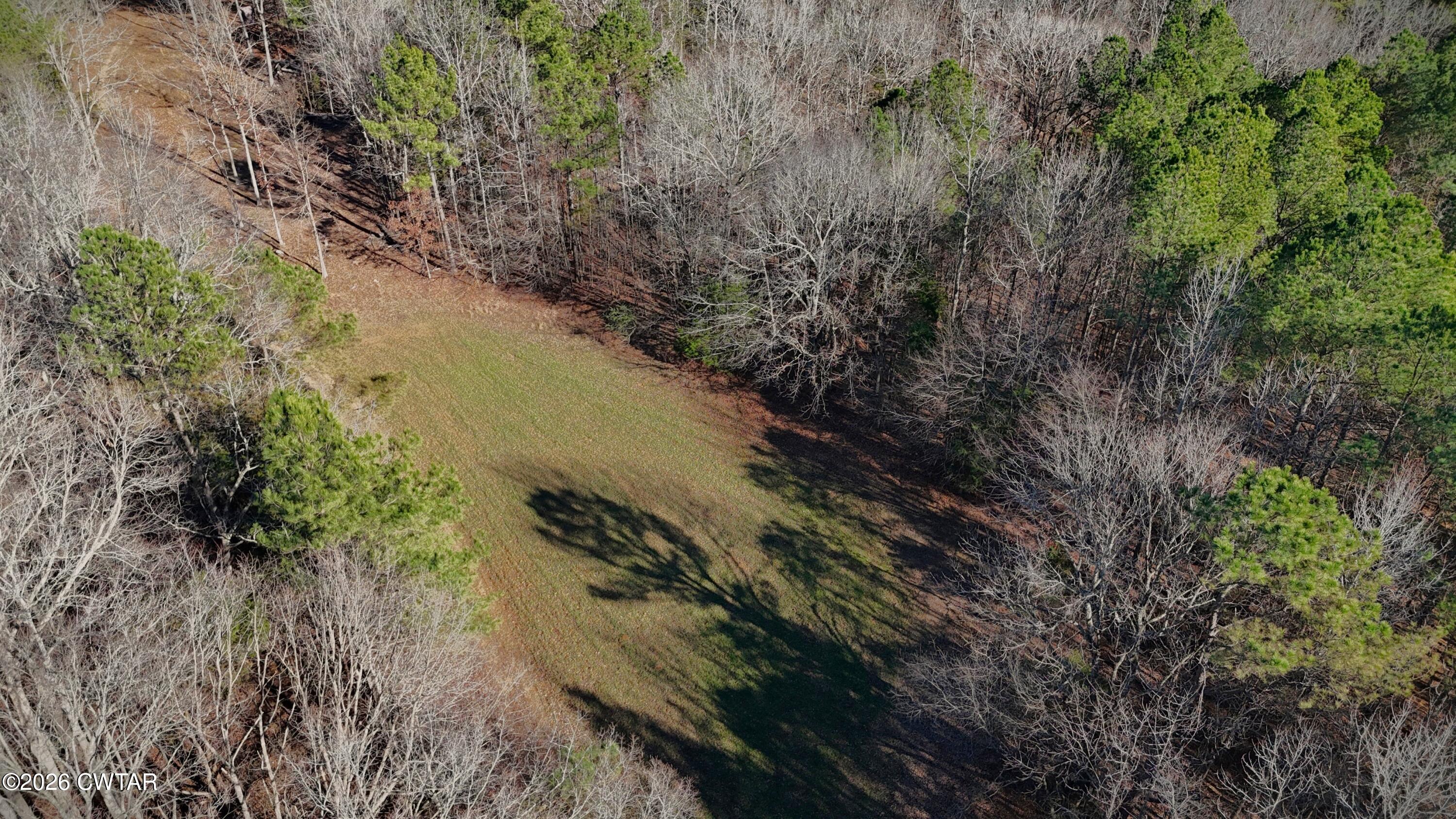 0 Buggy Branch Lane Cedar Grove, TN 38321 - Photo 41 of 42 a view of a field with trees in background