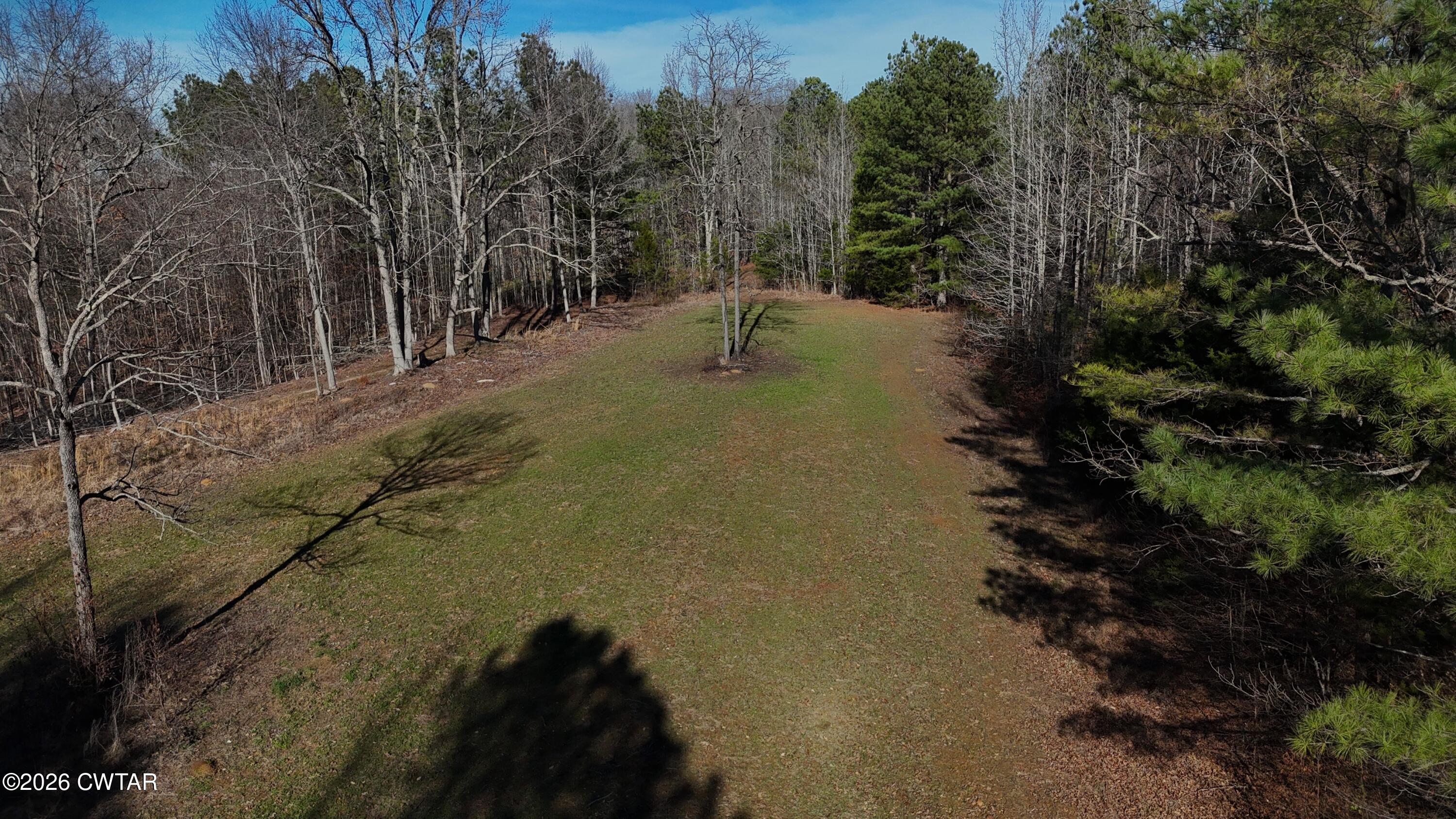 0 Buggy Branch Lane Cedar Grove, TN 38321 - Photo 5 of 42 a backyard of a house with a yard and outdoor seating