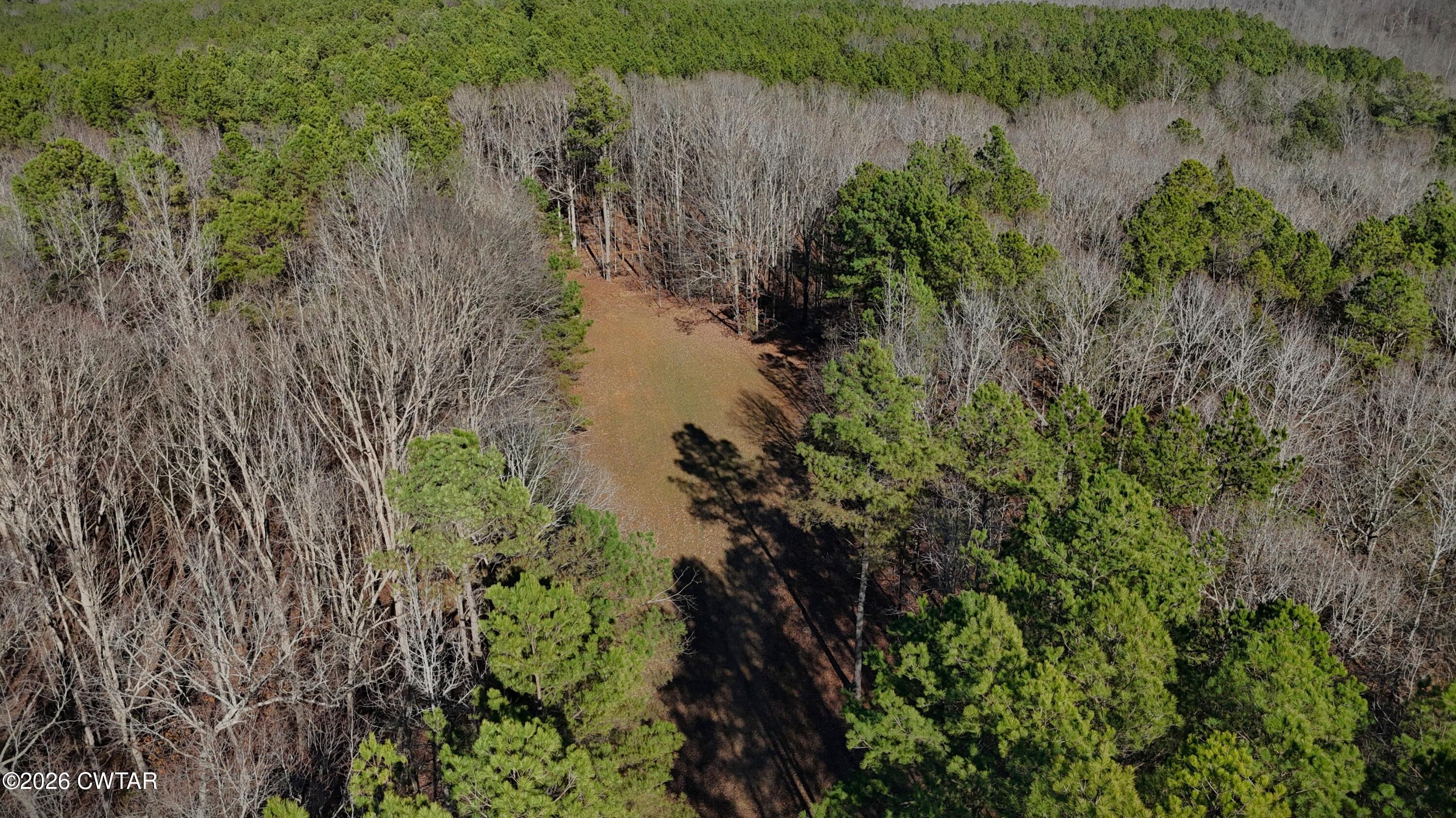 0 Buggy Branch Lane Cedar Grove, TN 38321 - Photo 10 of 42 a view of a lake with a tree in the background