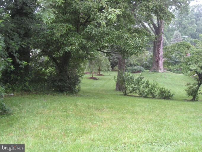 239 Providence Road Annapolis, MD 21409 - Photo 15 of 24 Back yard looking thru to the neighbors yard!