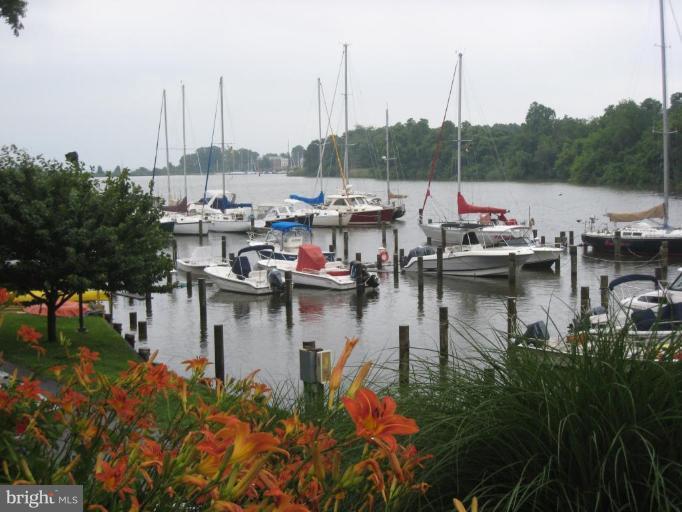 239 Providence Road Annapolis, MD 21409 - Photo 20 of 24 Community docks w/ deep water slips on Mill Creek!