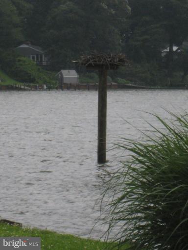 239 Providence Road Annapolis, MD 21409 - Photo 23 of 24 Osprey's nest just off the community point.