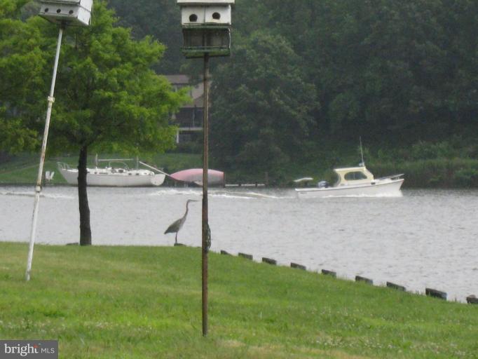 239 Providence Road Annapolis, MD 21409 - Photo 24 of 24 Blue Herring fishing off Providence Point!