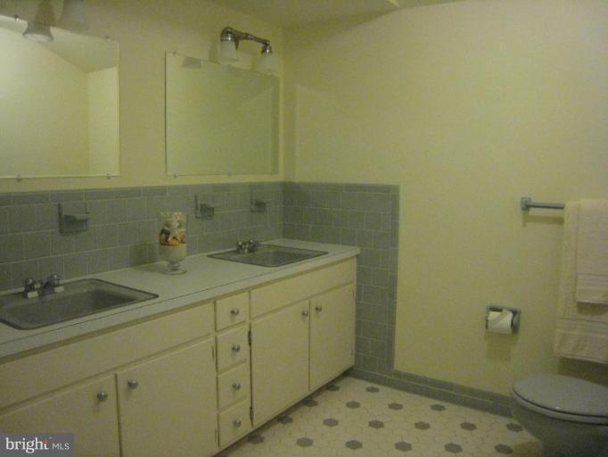 239 Providence Road Annapolis, MD 21409 - Photo 6 of 24 Large double sink and tiled floor and shower!