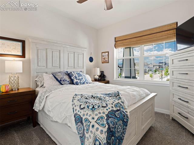 1919 Ruffino Drive Colorado Springs, CO 80921 - Photo 14 of 50 Gallery Image 14