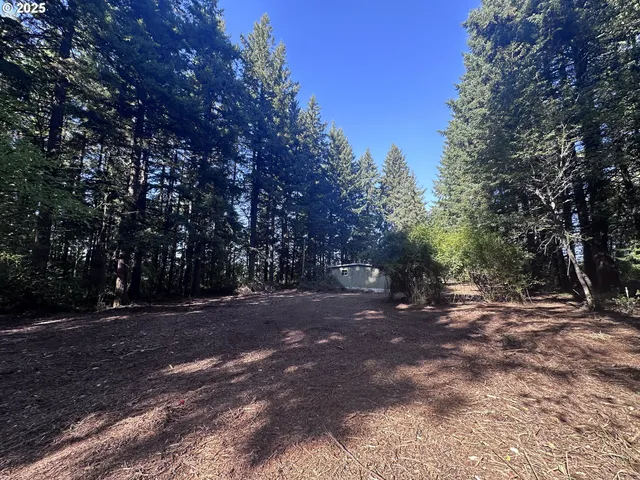 a view of road space with large trees