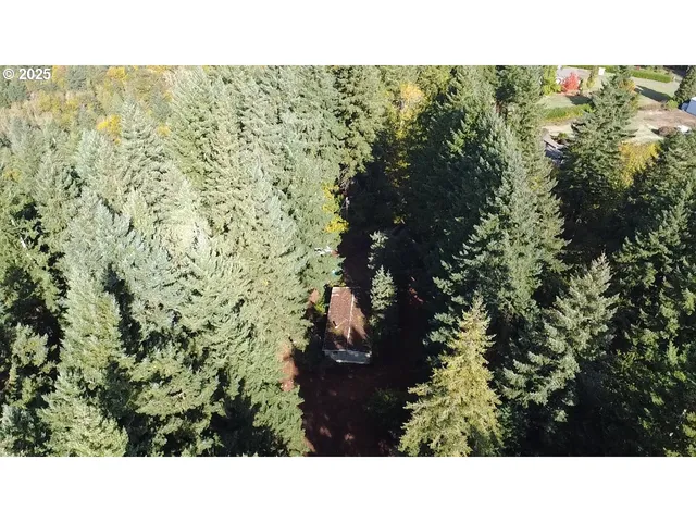 a black and white photo of a green field