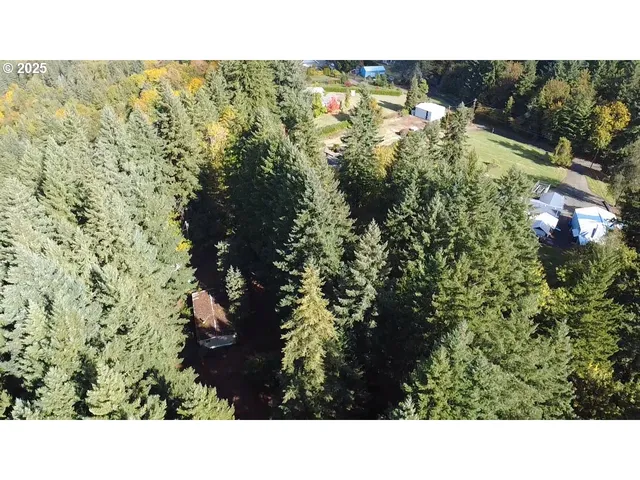 a open area with a trees in the background