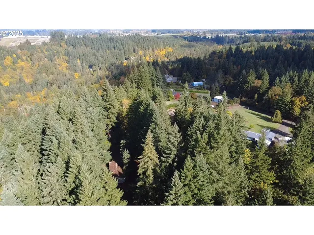 a black and white photo of a green field