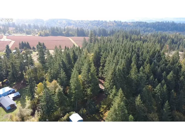 a black and white photo of a house