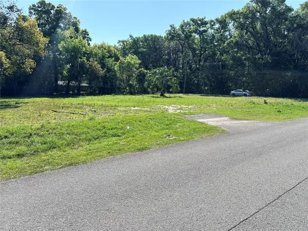 a view of a yard with a trampoline