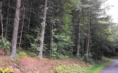 Lot 4 Twin Lakes Blue Ridge, GA 30513 - Photo 1 of 1 Main View