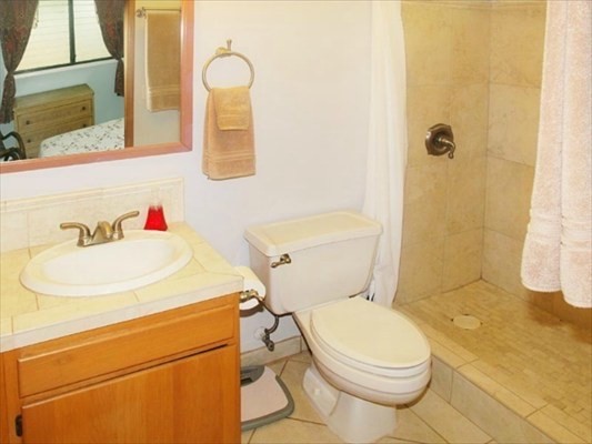 7935 Ulili Road Kekaha, HI 96752 - Photo 17 of 20 a bathroom with a toilet sink vanity and shower