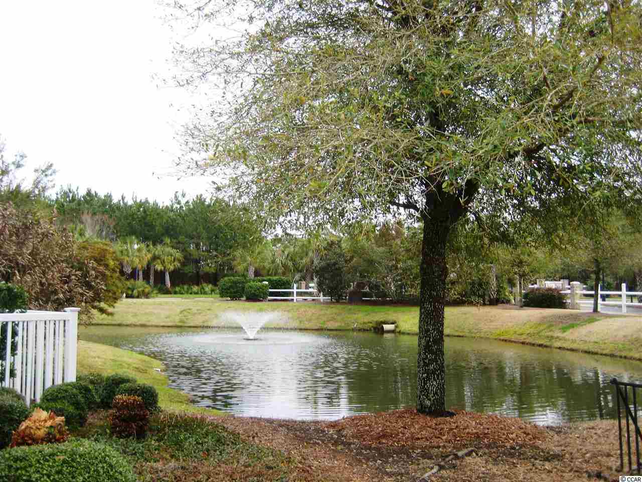 727 Botany Loop, Unit 727 Murrells Inlet, SC 29576 - Photo 23 of 25 Gallery Image 23