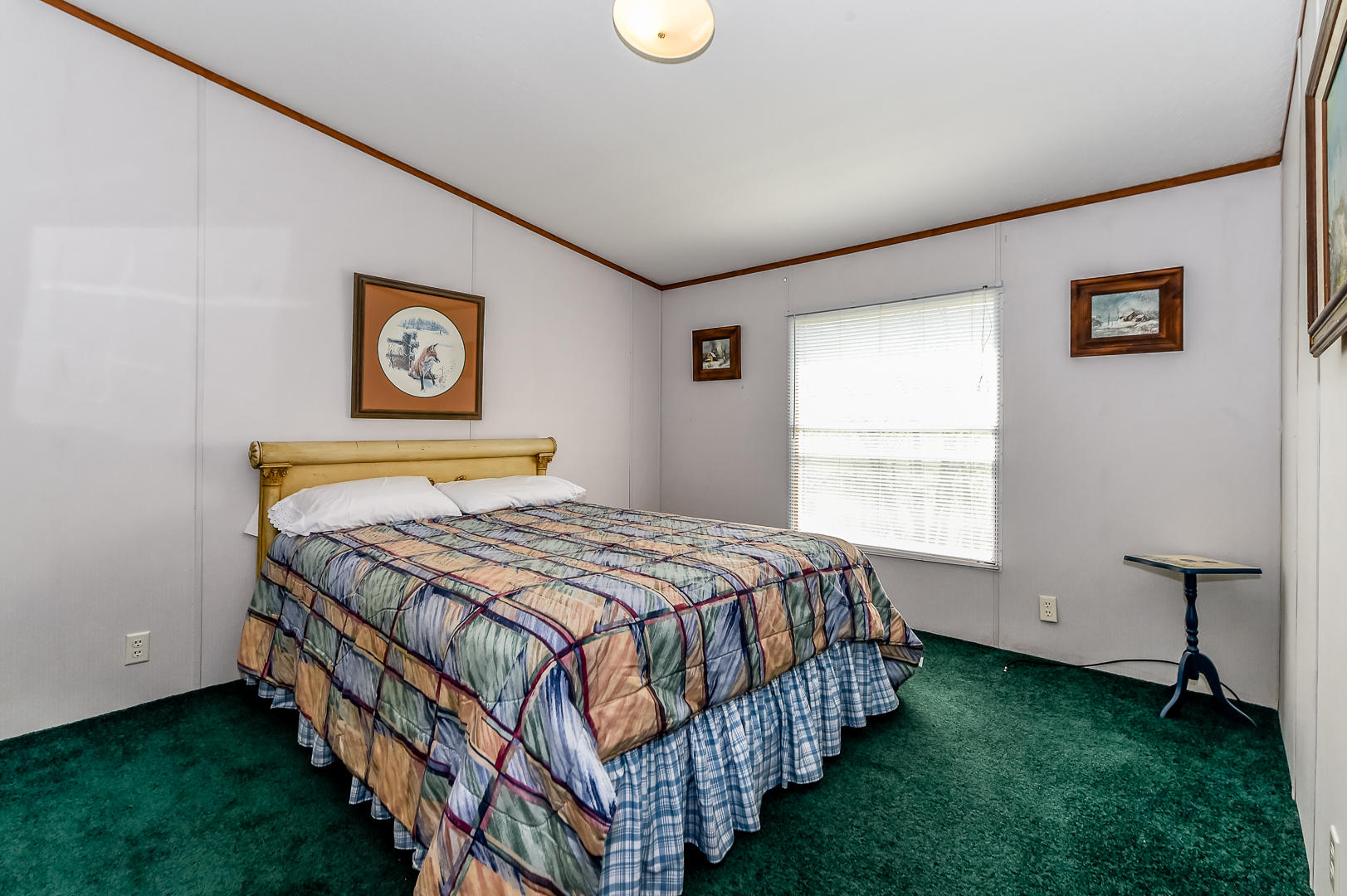 309 Lovely Bluff Road Rocky Top, TN 37769 - Photo 29 of 39 _DSC0255