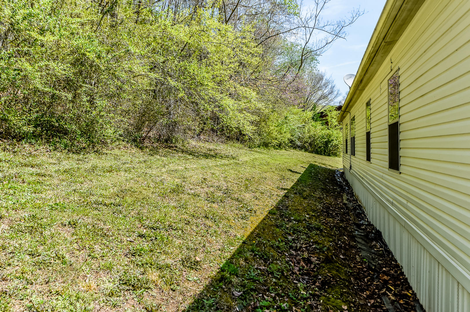 309 Lovely Bluff Road Rocky Top, TN 37769 - Photo 33 of 39 _DSC0272