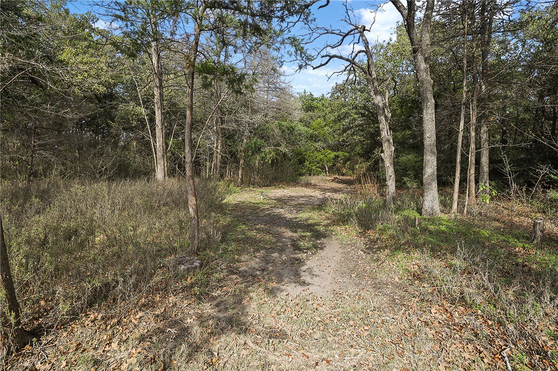 4662 Hidden Springs Way College Station, TX 77845 - Photo 42 of 48 a view of a yard with trees in the background