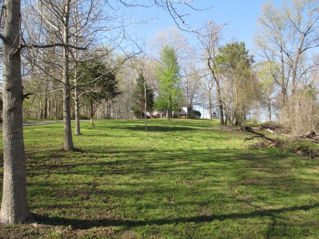 534 Tomlinson Road Lebanon, TN 37087 - Photo 2 of 2 Gallery Image 2