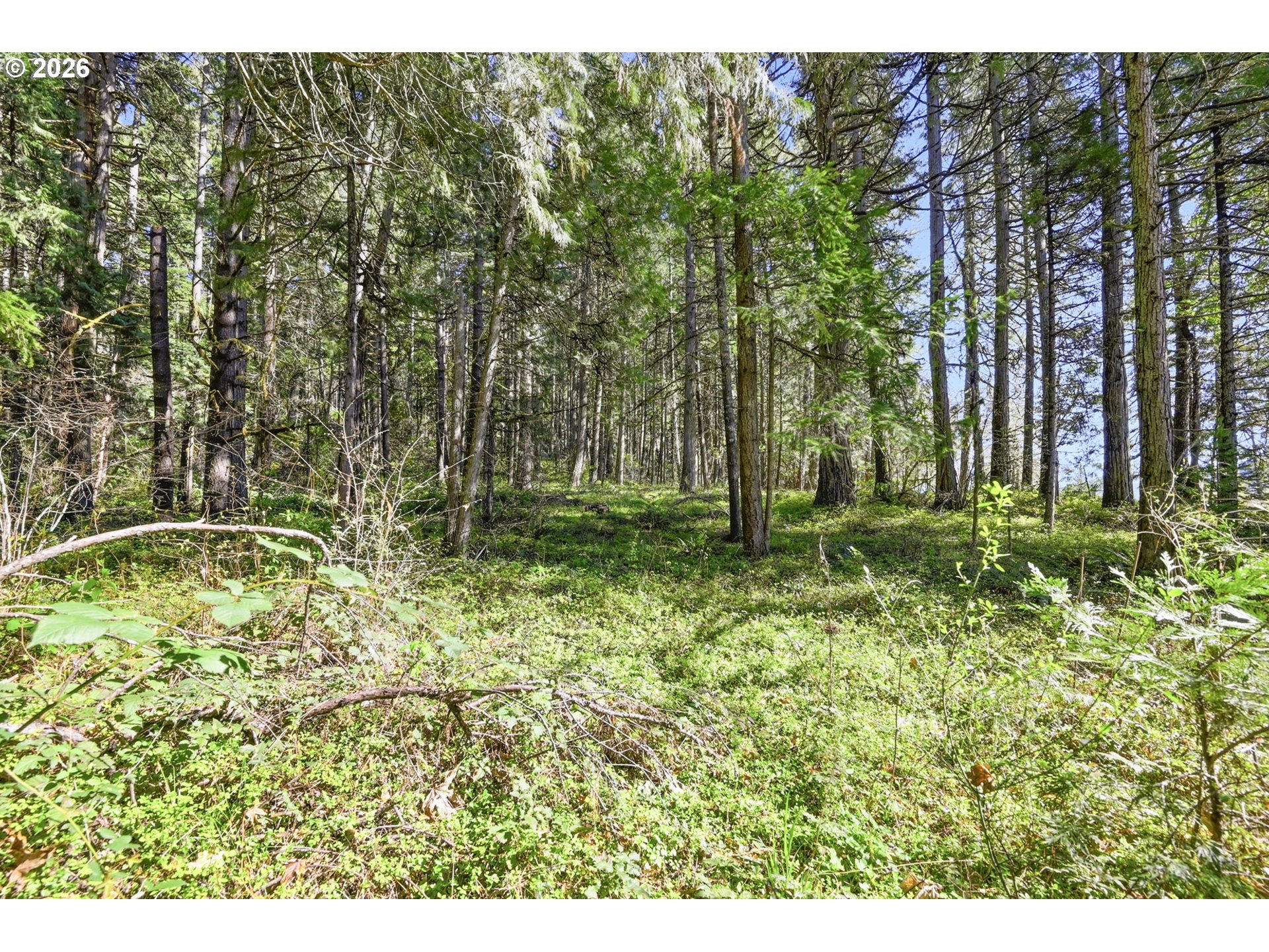 76113 Fish Hatchery Road Oakridge, OR 97463 - Photo 39 of 48 Yard