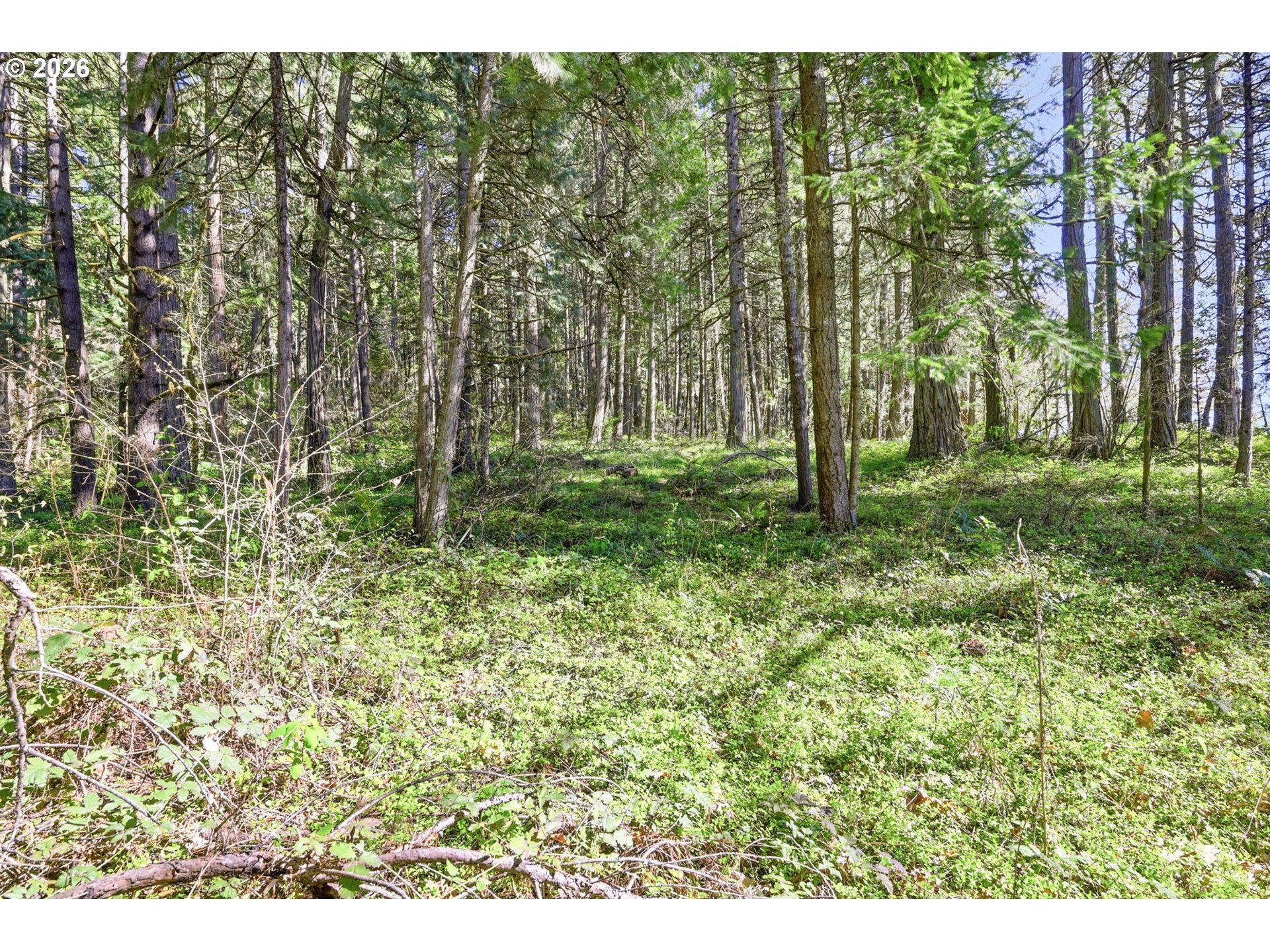 76113 Fish Hatchery Road Oakridge, OR 97463 - Photo 40 of 48