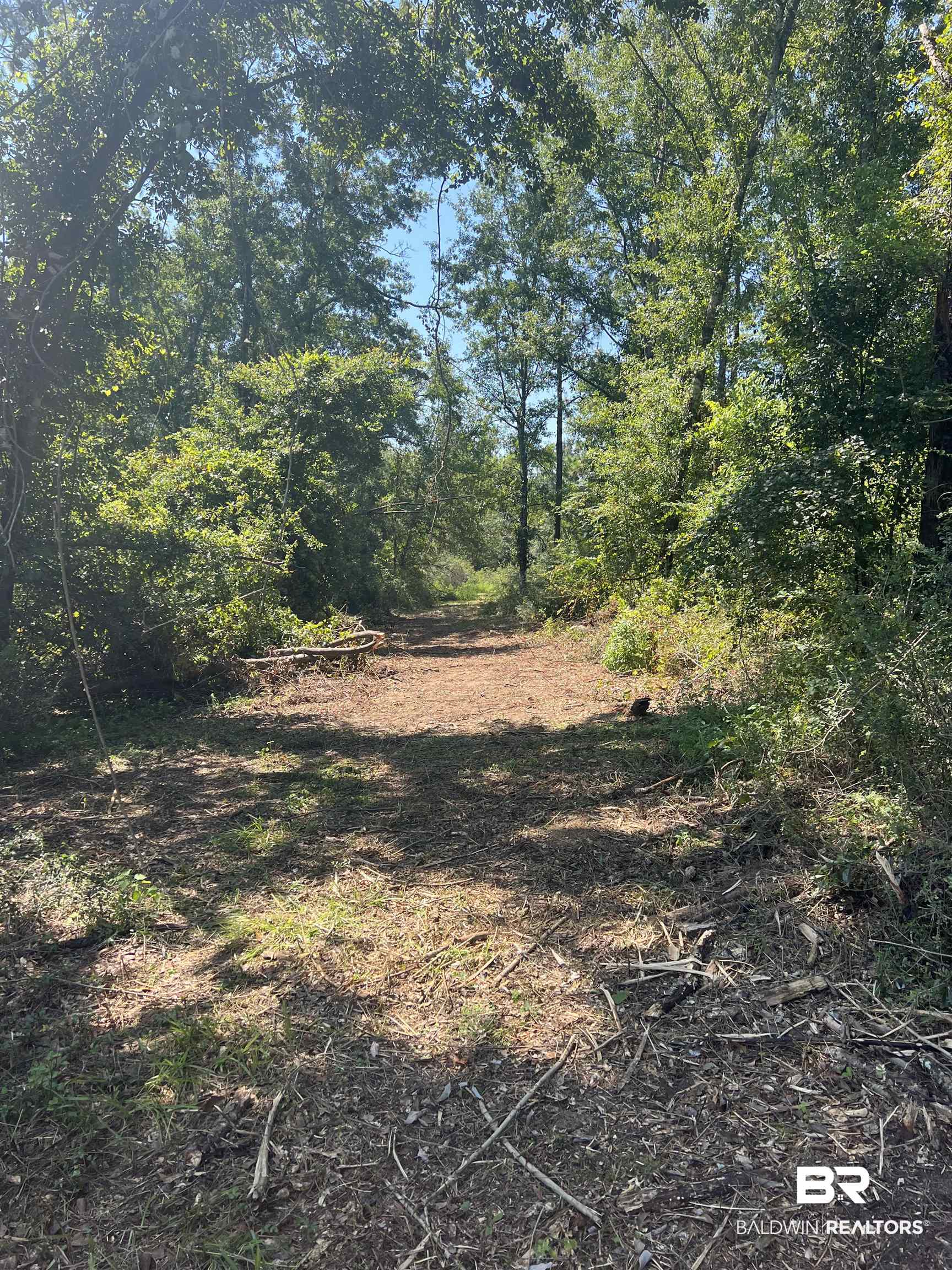 0 Cactus Court Elberta, AL 36530 - Photo 17 of 24 Gallery Image 17