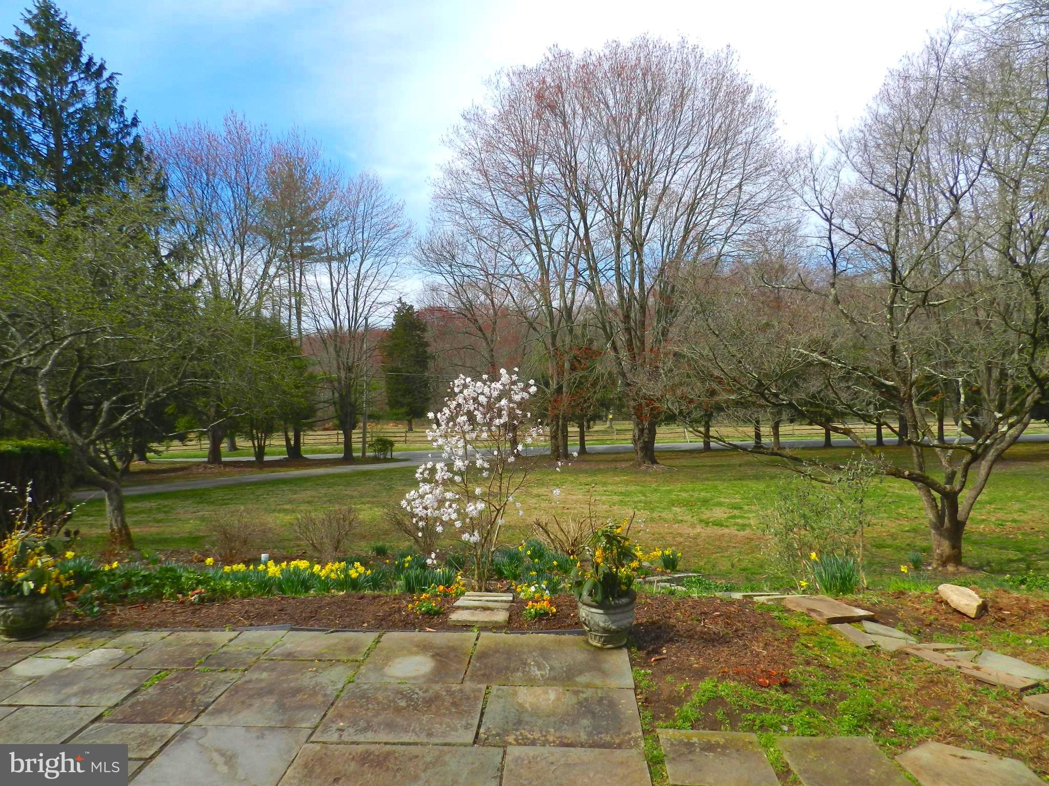 733 Hillview Road Malvern, PA 19355 - Photo 6 of 61 Marvelous view from front flagstone Patio