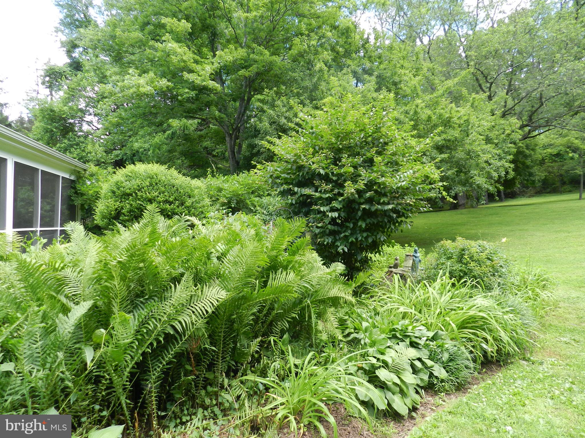 733 Hillview Road Malvern, PA 19355 - Photo 51 of 61 Back Gardens