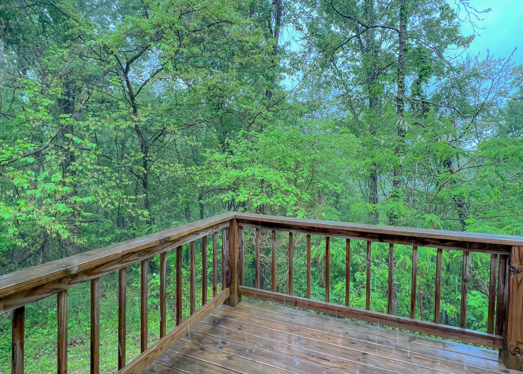 95 Pole Ridge Road Somerset, KY 42501 - Photo 18 of 19 IMG_6318