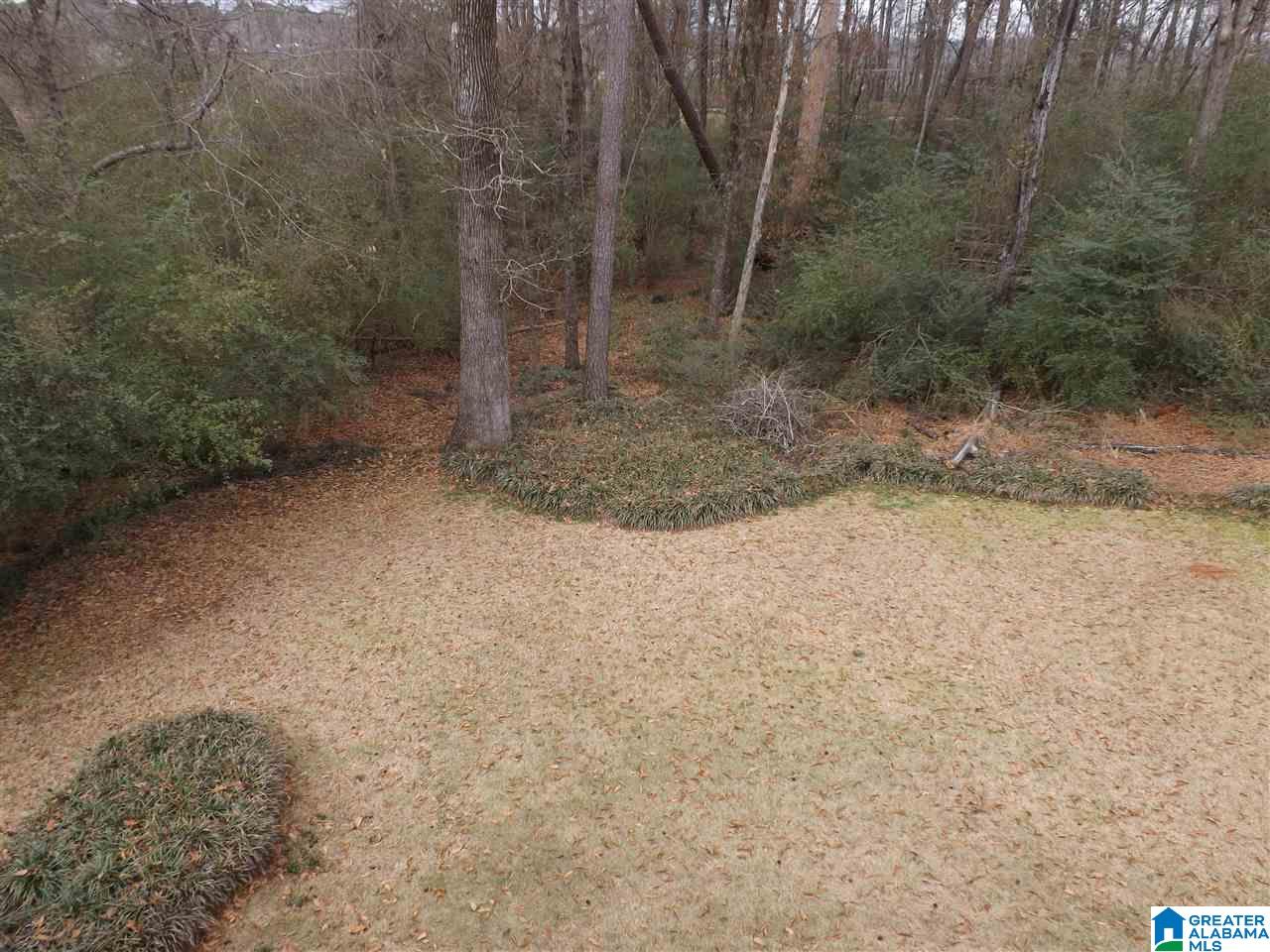 10 Monte Bello Lane Montevallo, AL 35115 - Photo 36 of 45