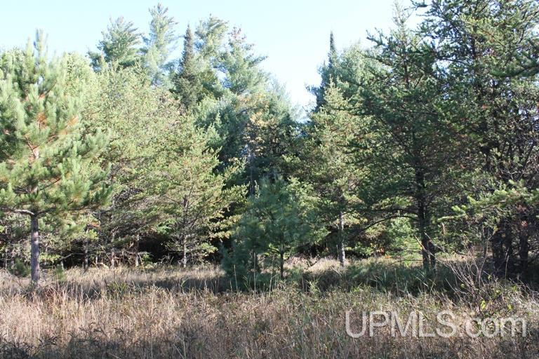 Tbd Missouri Rd - Co Rd 565, Unit LAT 46 31633 LON 87 5822 Gwinn, MI 49841 - Photo 5 of 30