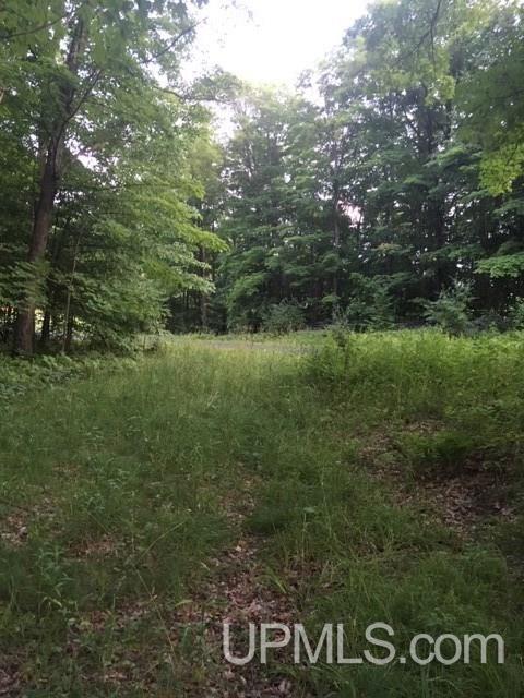 114 Section 16 Road Iron River, MI 49935 - Photo 12 of 13