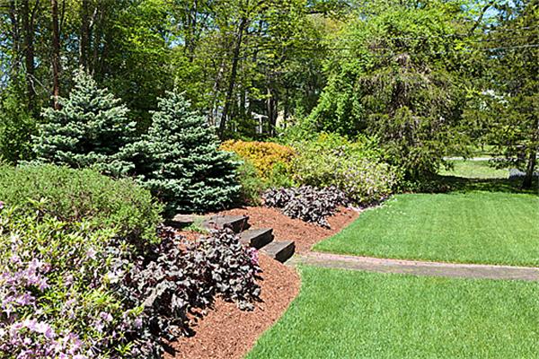 66 Munroe Road Lexington, MA 02421 - Photo 7 of 15 a view of a garden with a tree