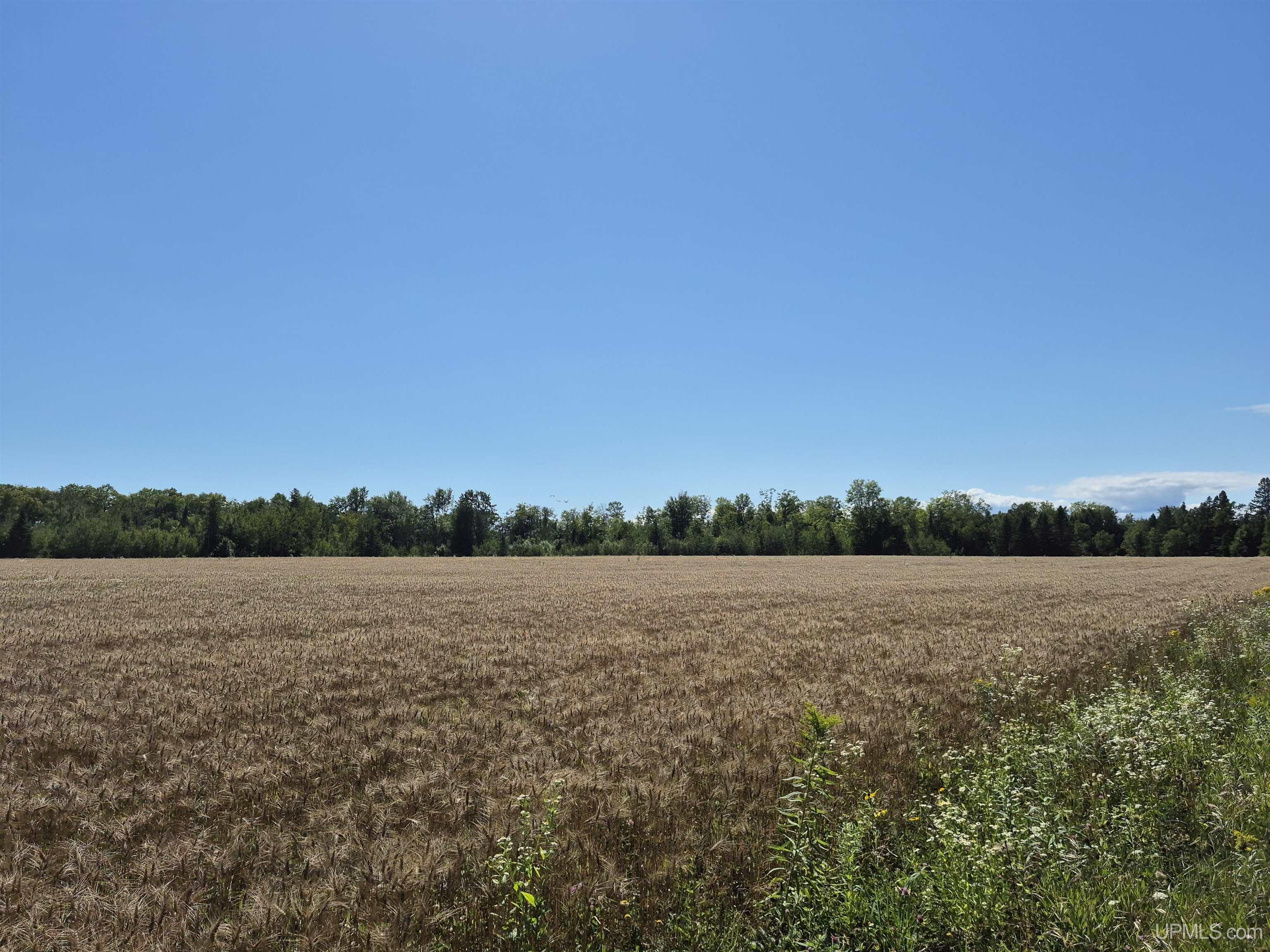 160-acres Halverson Road Gulliver, MI 49840 - Photo 28 of 35