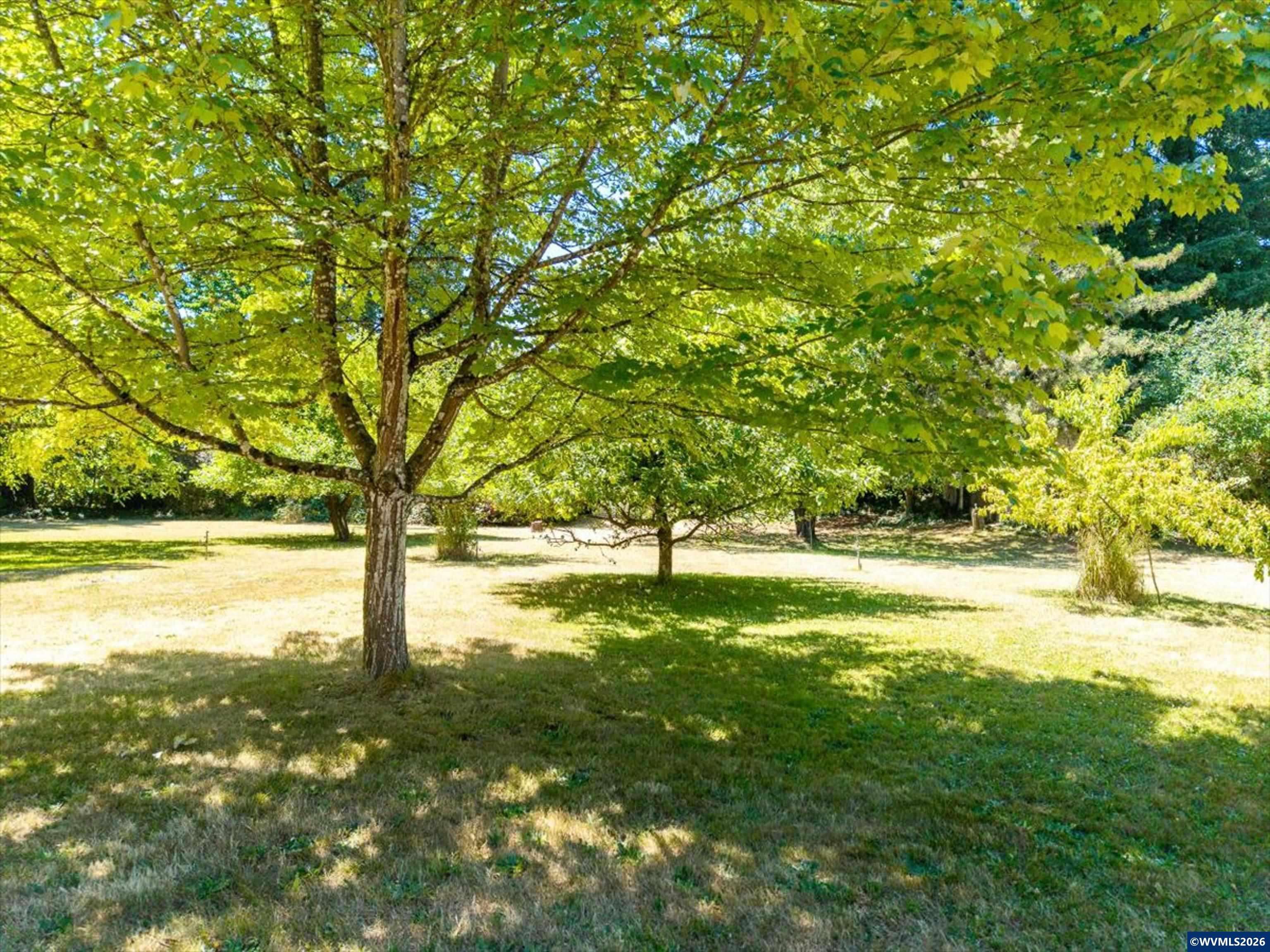 33860 Peoria Road Southwest Corvallis, OR 97333 - Photo 33 of 41