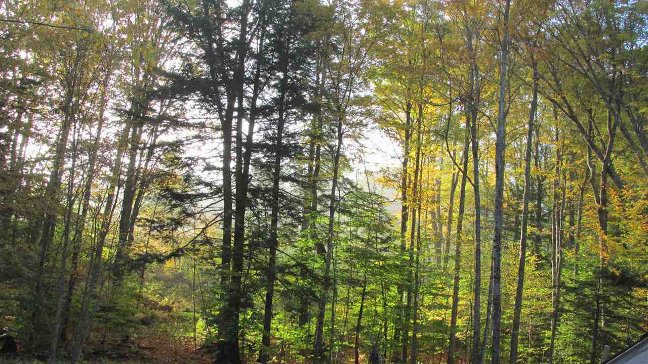 310 Hill Road Brookline, VT 05345 - Photo 17 of 17