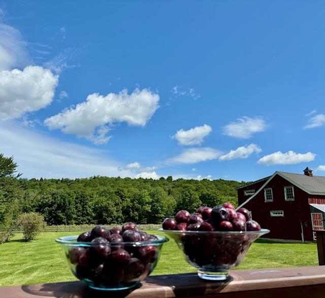 3236 Weston-Andover Road Andover, VT 05143 - Photo 59 of 60