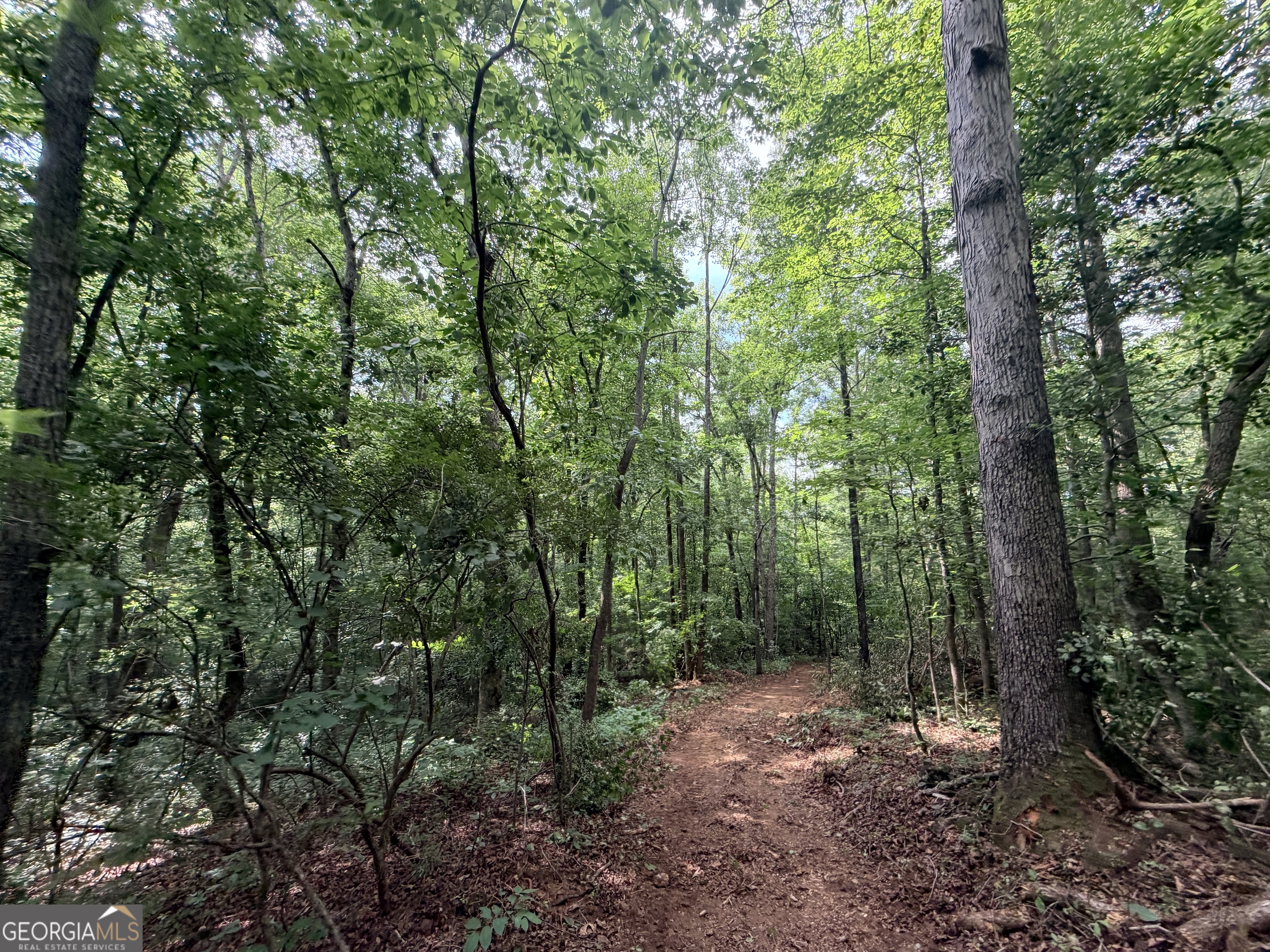 1590 James Adams Road Danielsville, GA 30633 - Photo 20 of 98