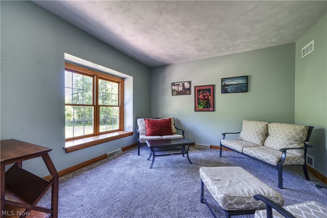 8744 Tippecanoe Road Canfield, OH 44406 - Photo 3 of 46