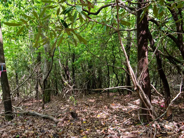 $80,000 | 185 Crossvine Trail, Hendersonville, NC 28739