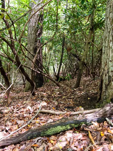 $80,000 | 185 Crossvine Trail, Hendersonville, NC 28739