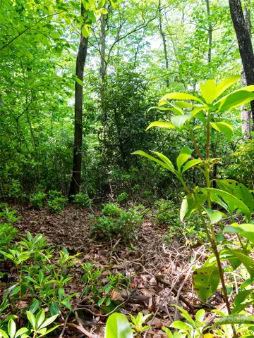 $80,000 | 185 Crossvine Trail, Hendersonville, NC 28739