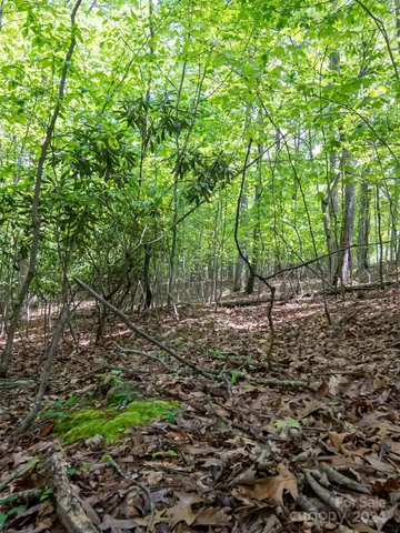 $80,000 | 185 Crossvine Trail, Hendersonville, NC 28739