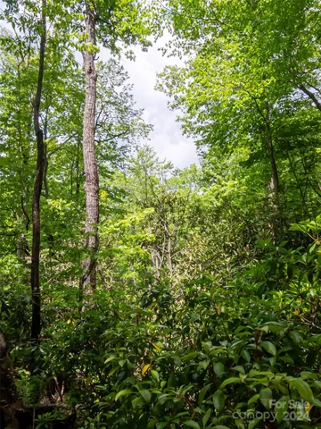 $80,000 | 185 Crossvine Trail, Hendersonville, NC 28739