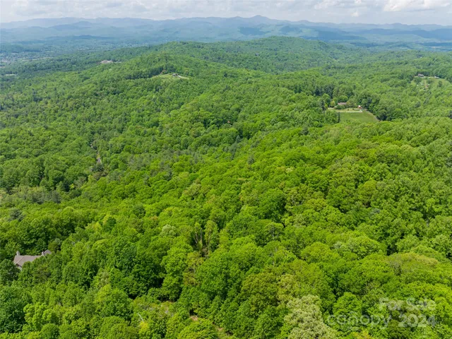 $80,000 | 185 Crossvine Trail, Hendersonville, NC 28739