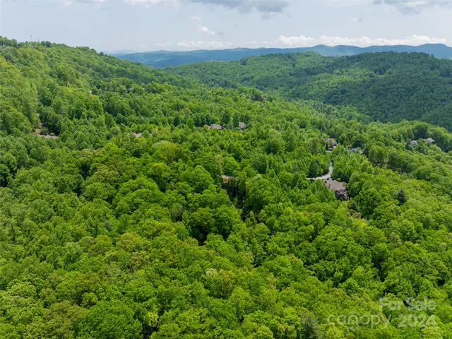 $80,000 | 185 Crossvine Trail, Hendersonville, NC 28739