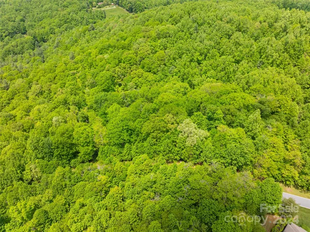 $80,000 | 185 Crossvine Trail, Hendersonville, NC 28739