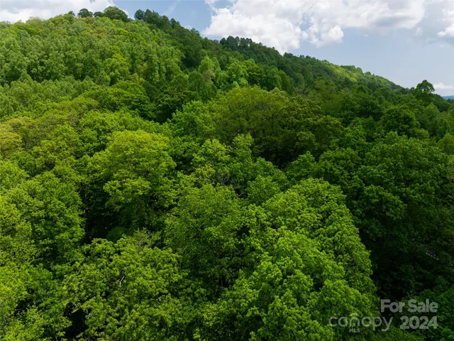 $80,000 | 185 Crossvine Trail, Hendersonville, NC 28739