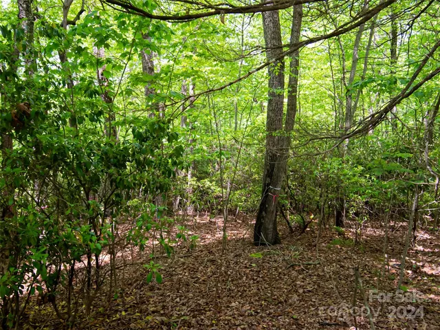 $80,000 | 185 Crossvine Trail, Hendersonville, NC 28739